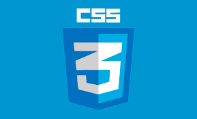 css3 logo